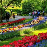 Photo taken by Nancy M