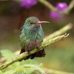 Photo taken by Wilbert A