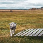 Photo taken by timothy m