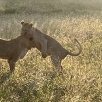 Photo taken by Crystall P