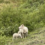 Photo taken by Dawn S