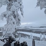 Photo taken by Monique V