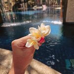 Photo taken by Beatrix K