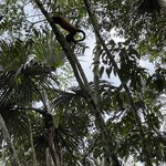 Photo taken by Breann B