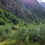 Photo taken by Tamara N