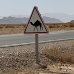 Photo taken by Pam L