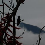 Photo taken by Brett F