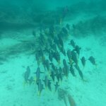 Photo taken by Lisa P