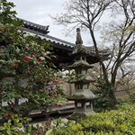 Photo taken by John P