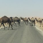 Photo taken by Pam L