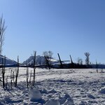 Photo taken by Tracy K