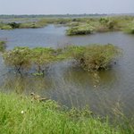 Photo taken by Alfred T