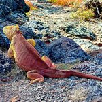 Photo taken by Katherine A