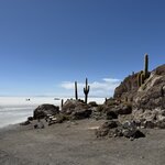 Photo taken by Lisa F