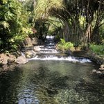 Serene | Photo taken by Nitin A