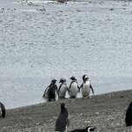 Photo taken by Raghu V