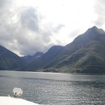 Photo taken by Prem P