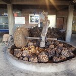 Photo taken by Wouter K