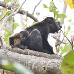 Photo taken by Graeme W