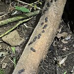 Photo taken by Patrice G