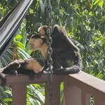 Photo taken by Hannah S