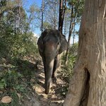 Photo taken by Debra Z