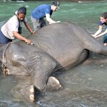 Photo taken by Matteo R