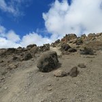 Photo taken by Kristin M