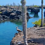 Photo taken by Elise C