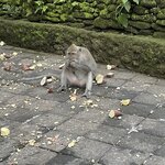 Photo taken by Matteo R