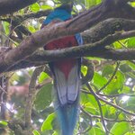 Photo taken by Kim L