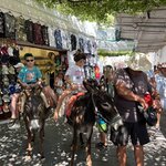 Photo taken by gail m