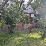 Photo taken by Manon G