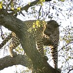 Photo taken by Joanne B