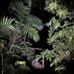 Photo taken by Tiphanny C