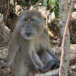 Photo taken by La'Toya L