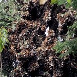 Photo taken by Barbara V