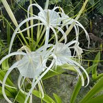 Photo taken by Jill M