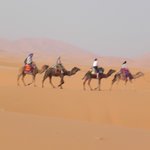 null | Photo taken by Wayne P