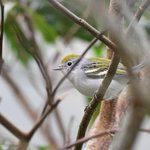 Photo taken by Graeme W