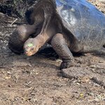 Photo taken by Gary W