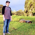 A beautiful evening for tortoise watching | Photo taken by Peter S