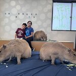 Photo taken by Andrea C