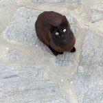 Photo taken by Elin T