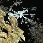 Photo taken by Bailey W