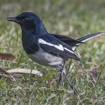 Photo taken by Graham D