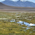 Photo taken by lynn o