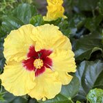 Photo taken by Teresa R