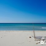 Photo taken by Aaron L