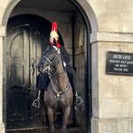 Photo taken by Marcy B